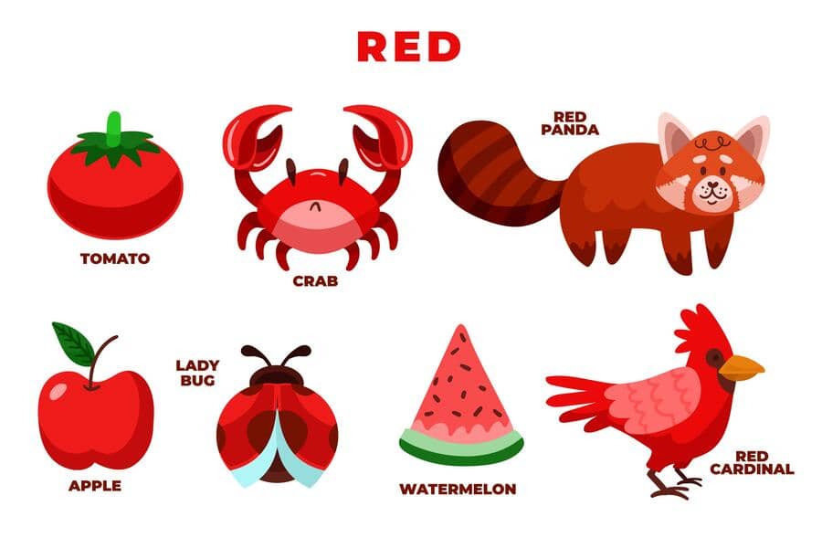 ۳۰۰ کلمه انگلیسی مناسب کودکان